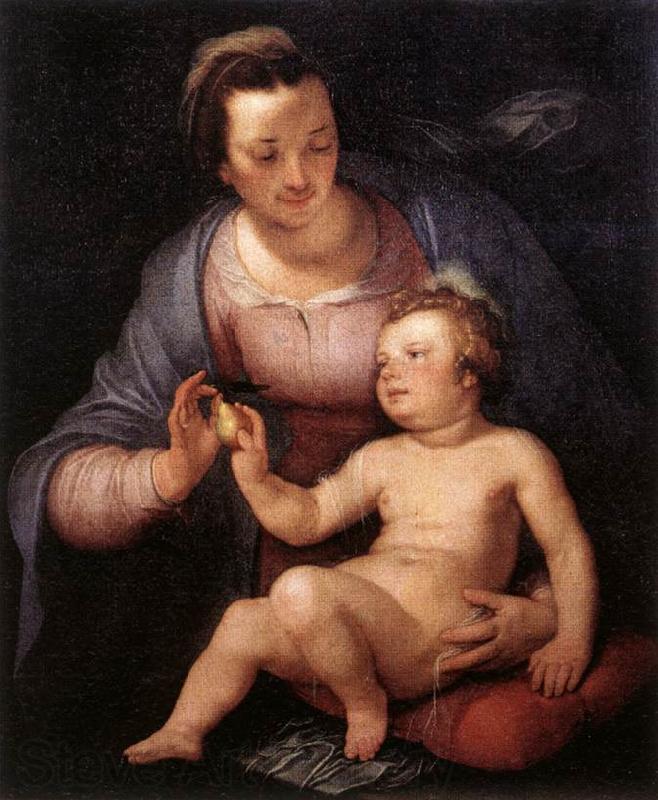 CORNELIS VAN HAARLEM Madonna and Child  vinxg Spain oil painting art